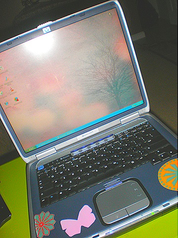 [PB0600464.jpg]