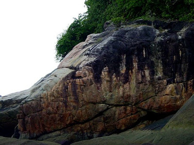 Penang National Park - Taman Negara Pulau Pinang