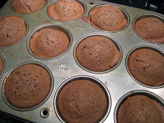 [cocoa muffins 004[4].jpg]