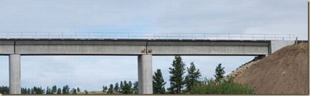 Chèvres sur un pont-3