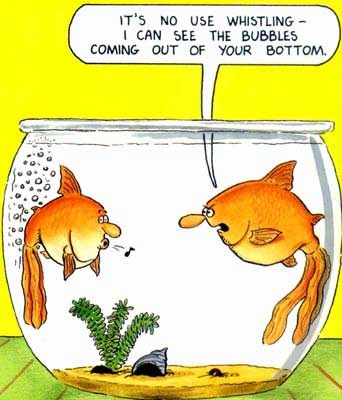 goldfish cartoon image. images goldfish cartoon image.