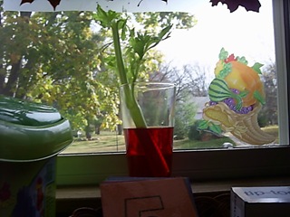 science celery experiment (2)