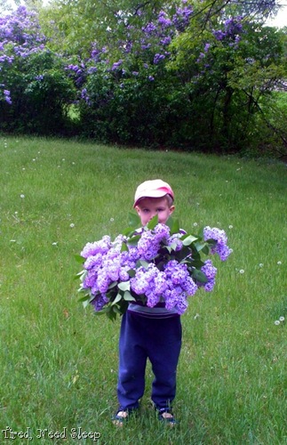 [bloomingflowers63.jpg]