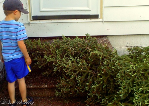 [tornadodamage32.jpg]