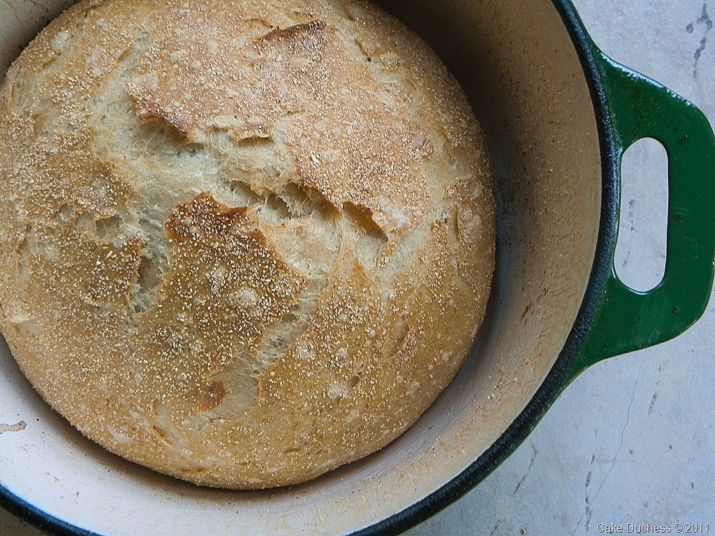 [bread1[2].jpg]