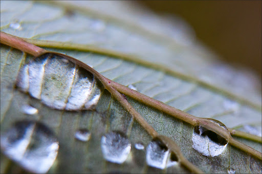 Позднеосеннее