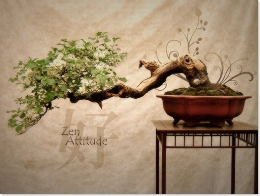 Zen_Attitude-18