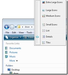 Windows Explorer Folder View Options