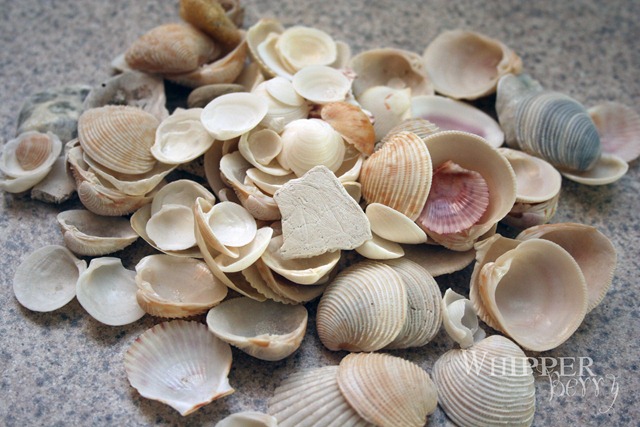 [Wipperberry 1 001[4].jpg]