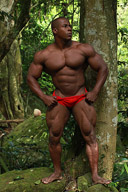 Orso Orfeo - Black Muscle Hunk Is Back
