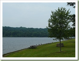 Lake views