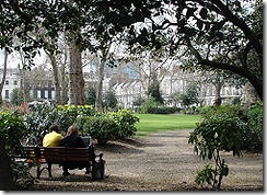 181110_Bedford_gardens_Bloomsbury