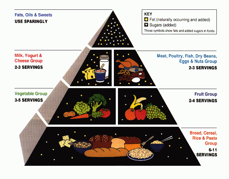 [USDA_Food_Pyramid[2].gif]