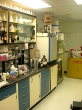 A Chemistry Lab