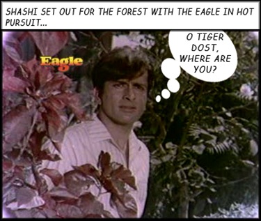 Shashi heads for the forest