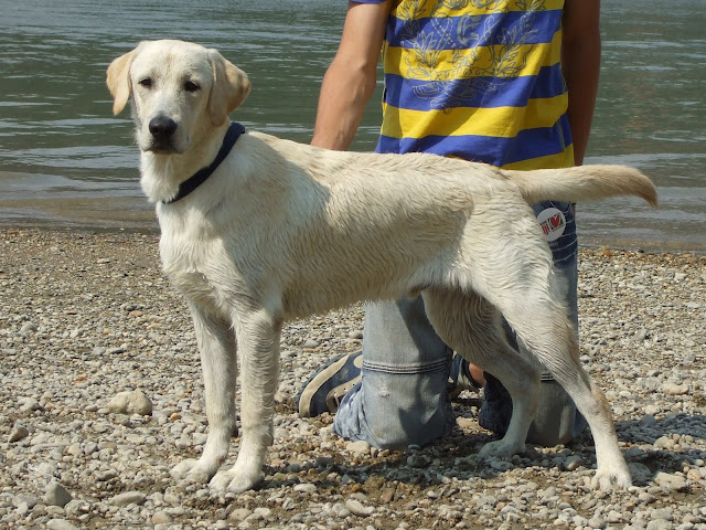 DSCF5930.jpg