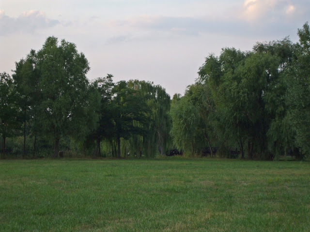 DSCF6424.jpg