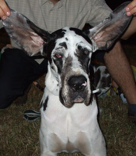 DSCF5765.jpg