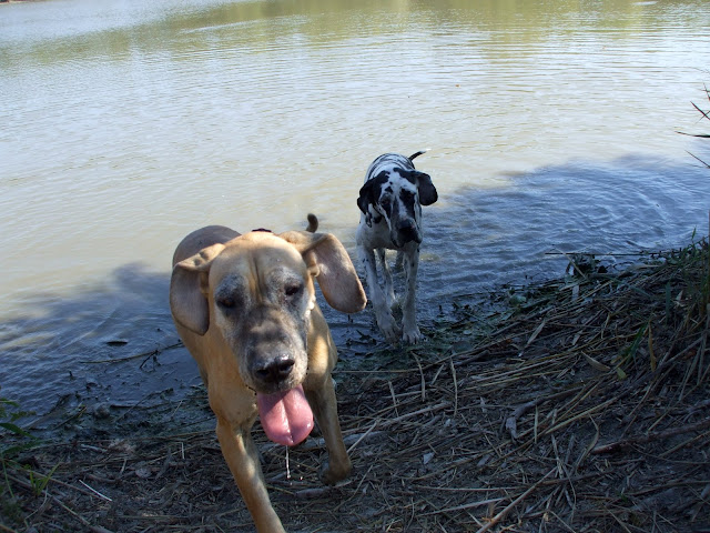 DSCF6525.jpg