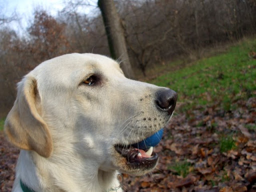 DSCF7176.jpg