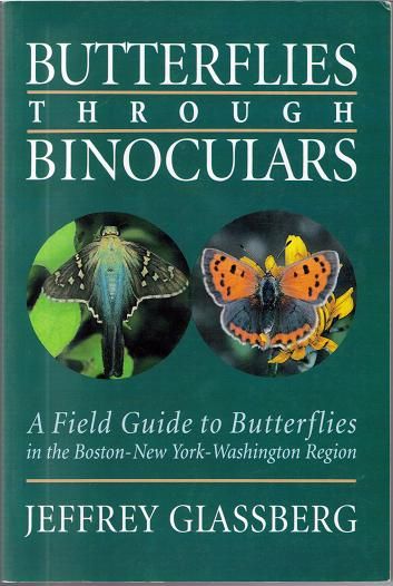 Butterflies New World Avian Review