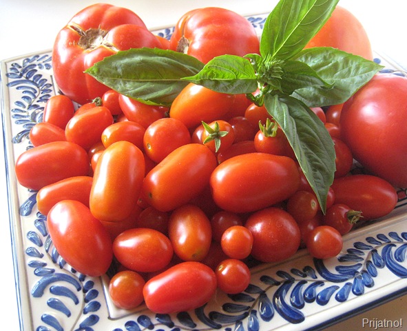 [Tomatoes v1[4].jpg]