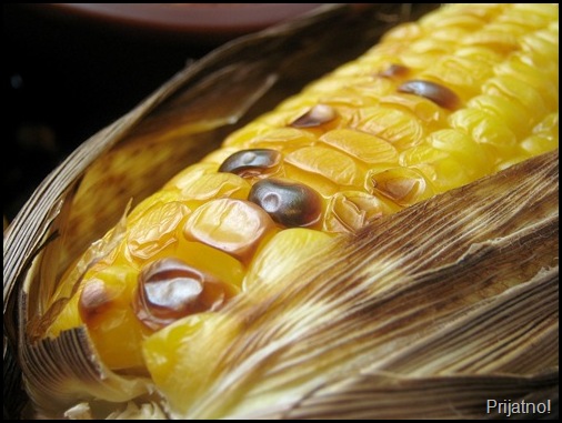 Roasted Corn 009 v1