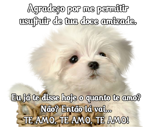 alemarques.amiz128.png