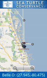 The Sea Turtle App poster 2