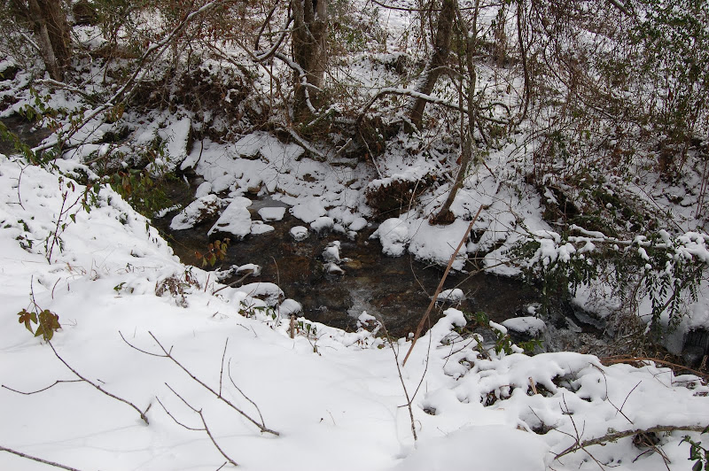 DSC_4514.JPG