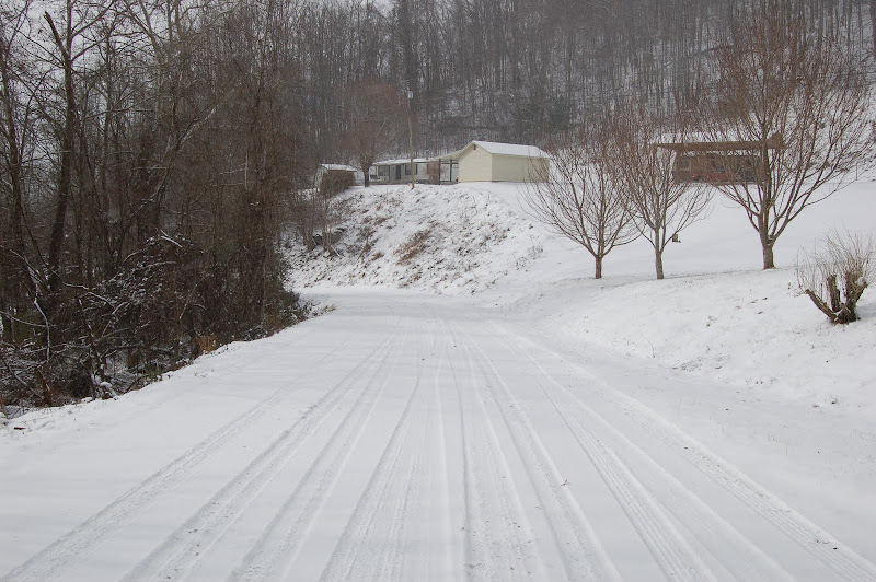 DSC_4509.JPG