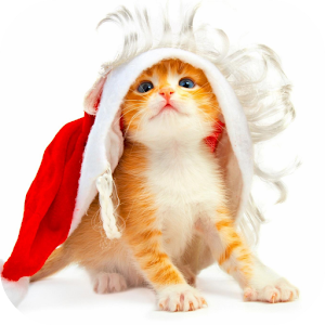 Funny Christmas Cat Wallpaper 1.0