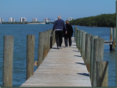 Dog walking, Jensen Beach style