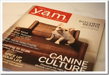 yam magazine april 001
