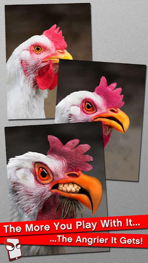 Angry Chicken Free