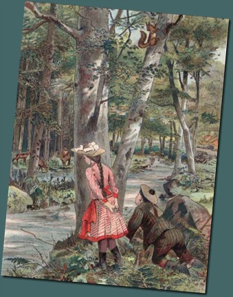 rode Eekh. ingekleurde gravure uit 1880