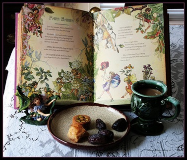 fairy book