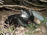 DSCF5834.jpg