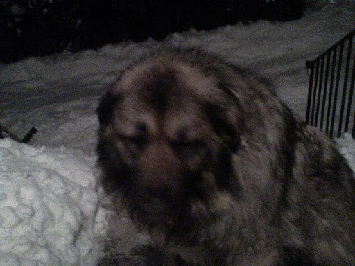 DSC00108.jpg