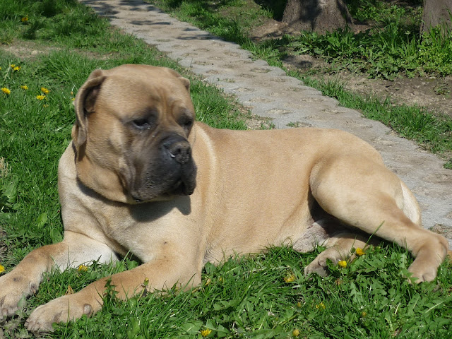 P1000630.JPG