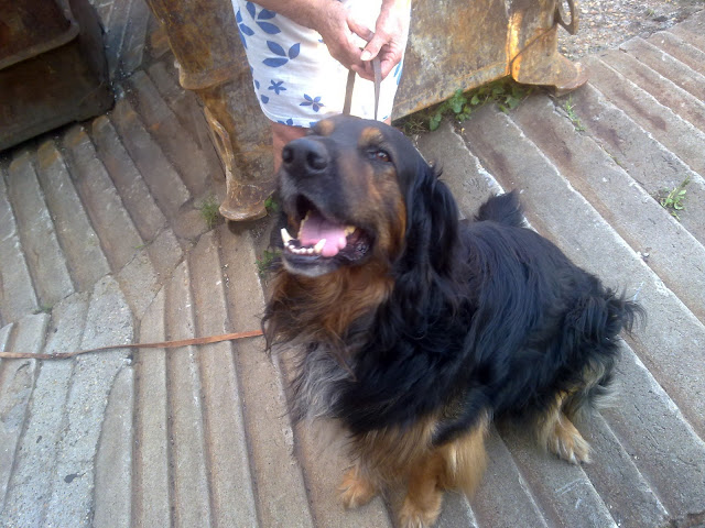 20100821008.jpg
