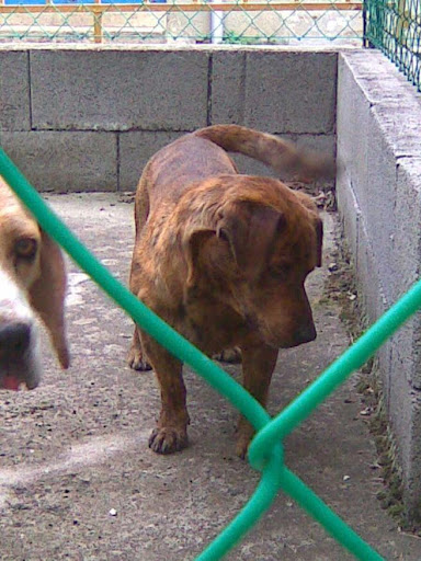 20100907_001.jpg