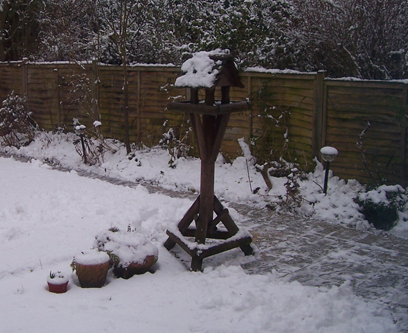 [Bleak afternoon at the bird table - 05.01.png]