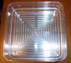 Sprouting trays - top view