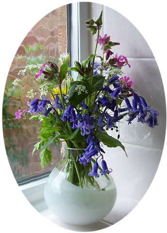 [posy of bluebells - red campion - buttercups - cow parsley - wild garlic[3].png]