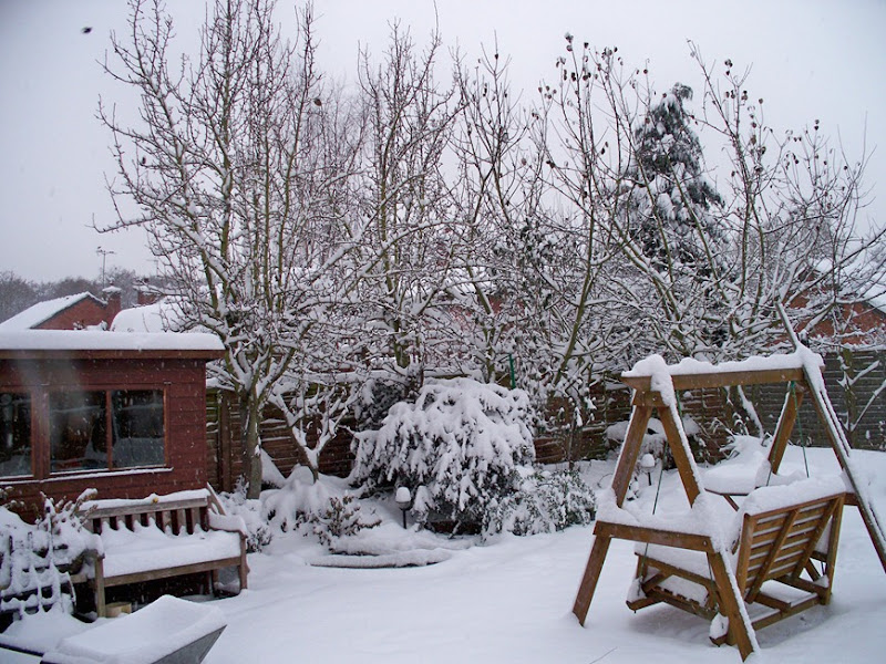 Winter wonderland of snow white (garden landscape)