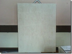 Undecorated board