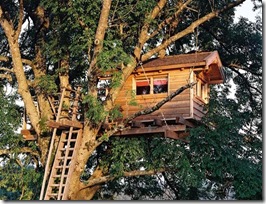 treehouse.2
