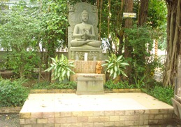 DSC05521