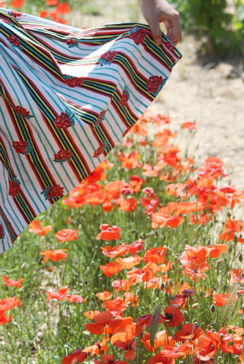 coquelicots1